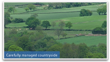 Carefully Managed and respected Countryside